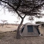 Dorobo camp Mara Naboisho