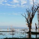 Lake Naivasha resort