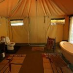 Mara Ngenche luxury tented