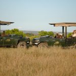 The Maasai Mara game drive