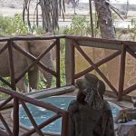 Elephant Bedroom Camp Samburu