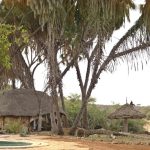 Saruni Rhino Lodge