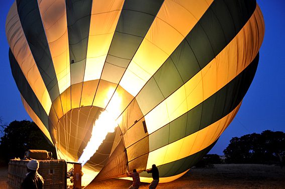 5 things to expect during a balloon safari