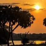 Ashnil Samburu Camp