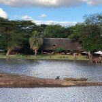 Lodge Ziwani tented