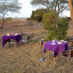 Tsavo East reserve