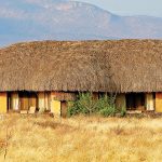 Samburu cottages