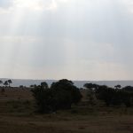 Saruni Wild Camp Mara
