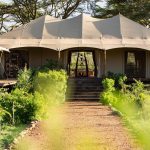 Great plains Mara Nyika