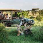 Great plains conservation Kenya Mara Nyika