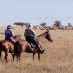 Horses on plains