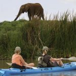 Ekorian's Mugie Camp Laikipia