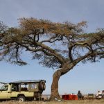 Ekorian's Mugie Camp Laikipia