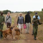 Ekorian's Mugie Camp Laikipia