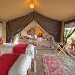 Asilia Ol Pejeta bush camp family room twin setup with view into lounge and main bedroom