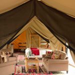 Asilia Ol Pejeta bush camp family tent