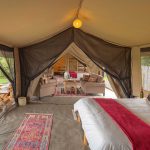 Asilia Ol Pejeta bush camp family tent layout main room lounge twin setup