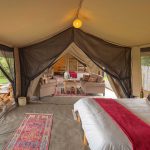 Asilia Ol Pejeta Bush Camp Family Tent Layout Main Room Lounge Twin Setup