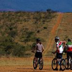Cycling In The Wild