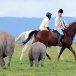 Horse Riding