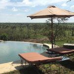 Views from Naboisho infinity pool