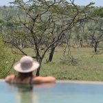 Naboisho game viewing from the swimming pool