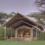 Tent exterior at dawn