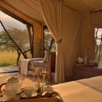 Naboisho camp guest tent interior view dawn carousel