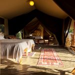 Ol Pejeta Bush Camp Family Tent Interior