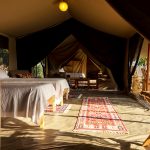 Ol Pejeta bush camp family tent interior