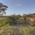 Ol Pejeta main area sundowners