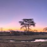 Main area sunset Mount Kenya
