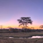 Main Area Sunset Mount Kenya