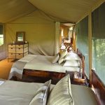 Rekero family tent kids bedroom