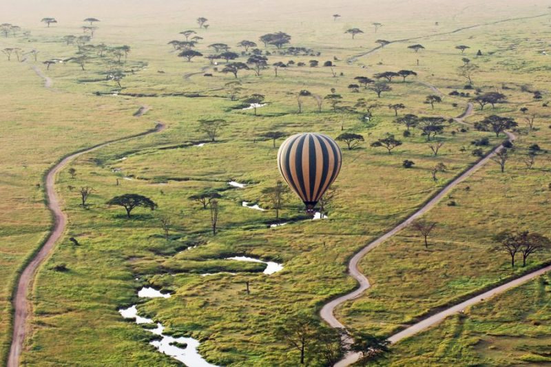 Enjoy balloon safaris