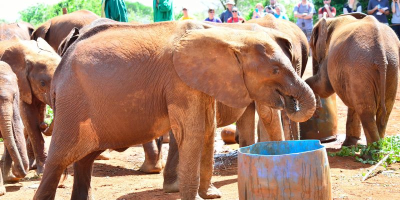 Travel down the memory lane visiting the museums of Kenya