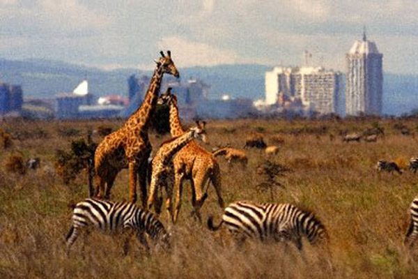 Travel down the memory lane visiting the museums of Kenya