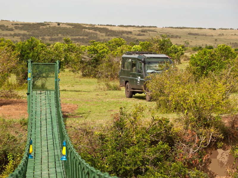 Get to know the safari land