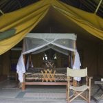 Flamingo hill tented camp