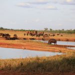 Manyatta Camp Tsavo