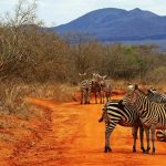 Manyatta Camp Tsavo