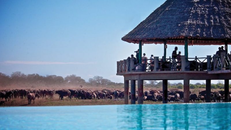 Voi wildlife lodge