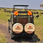 Kenya Wildlife Tour