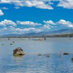 Lake Naivasha Crescent Camp