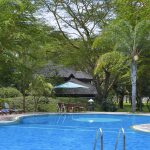 Kenya Lake Naivasha Simba lodge pool