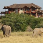 Samburu Simba lodges