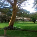 Lake Naivasha Crescent Camp