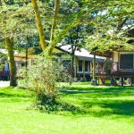 Lake Naivasha Crescent Camp