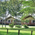 Lake Naivasha crescent