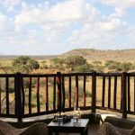 Samburu Simba lodge